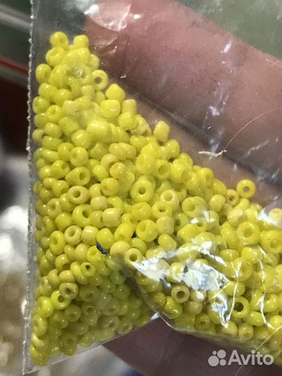 Бисер китайский