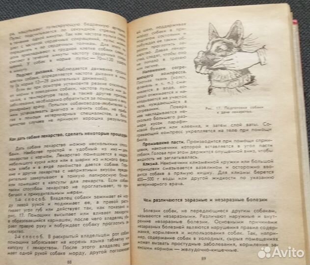 Собаководство. Дрессировка, уход, лечение