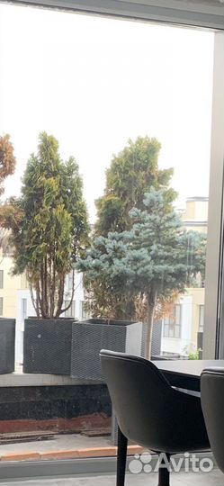 Уличные кашпо пр-во Европа