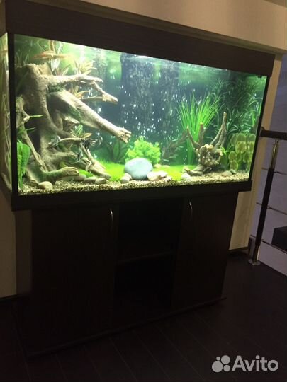Аквариум 240 литров