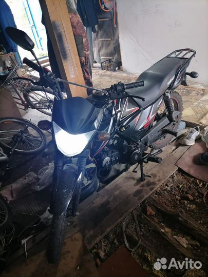 Alpha Sport-110
