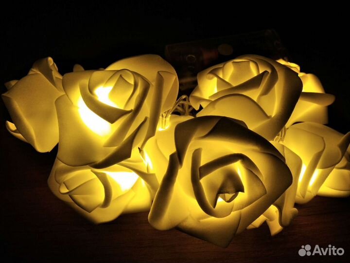 Гирлянда розы, новая