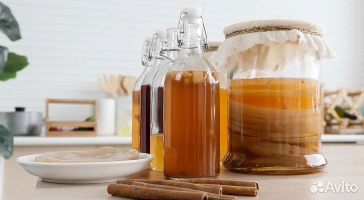 Комбуча, (чайный гриб)