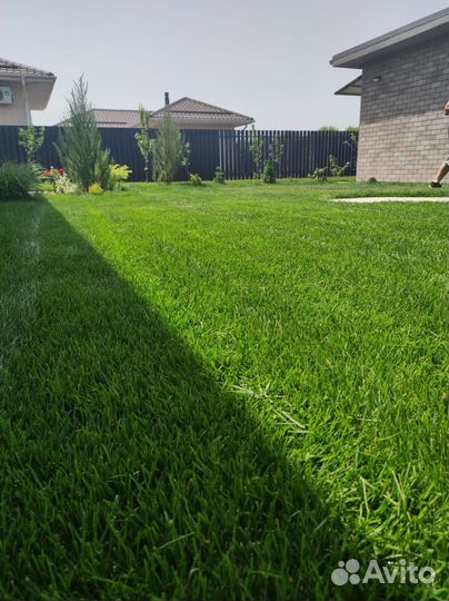 Купить рулонный газон