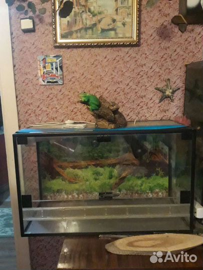 Аквариум