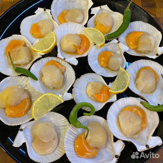 Гребешок Приморский