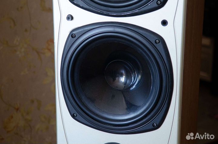 Колонки tannoy saturn S10 Champagne
