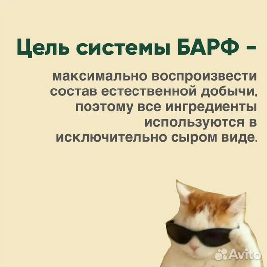 Натуральный корм для собак