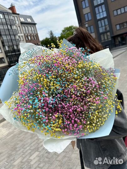 Букет гигант из гипсофилы.Доставка