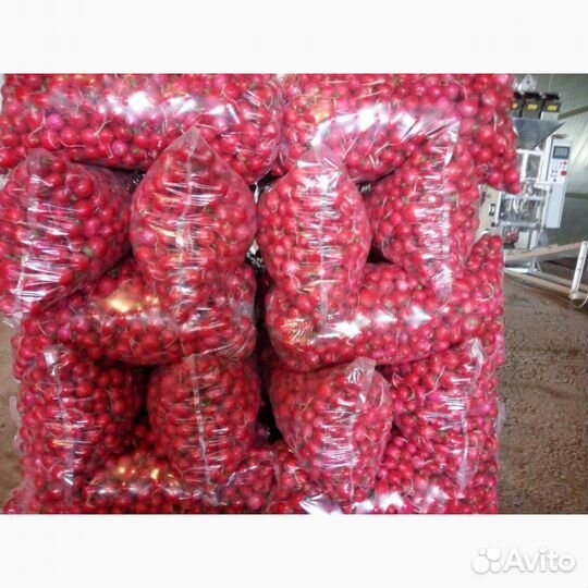 Мешок, пакет полиэтиленовый для редиса Ставрополь