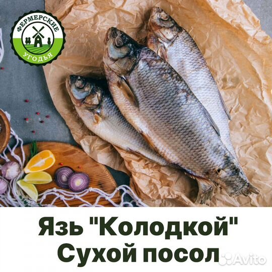 Язь Колодкой Сухой посол и хк Опт. Розница