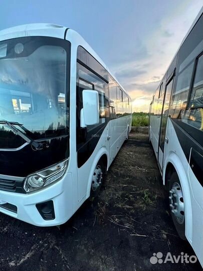 Городской автобус ПАЗ Вектор Next, 2021