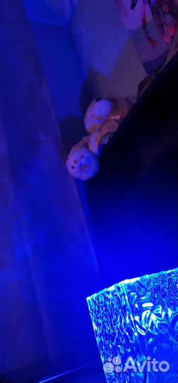 Светильник настольный