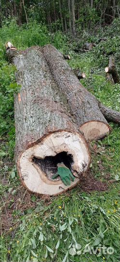 Колода для пчел