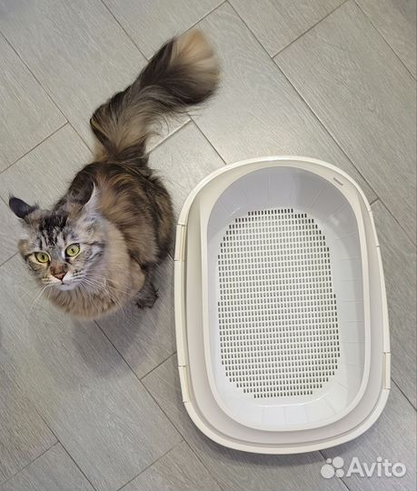 Туалет-лоток с выдвижным поддоном для кошек