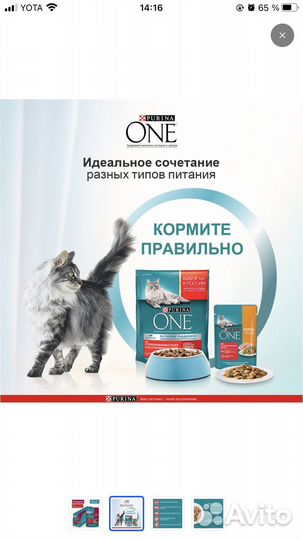 Корм для кошек