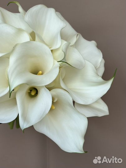 Каллы свадебный букет