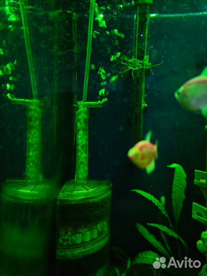 Аквариум с рыбками 150 литров