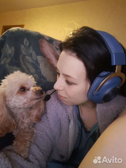 Передержка животных