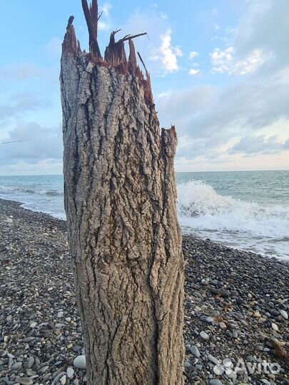 Кора для терариума