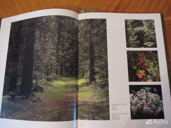 Алтай. Барнаул. Фотоальбомы