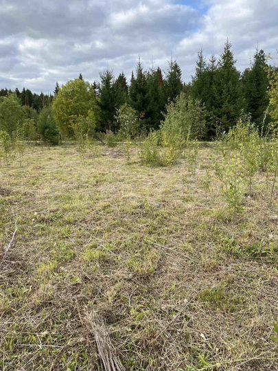 Участок 11,6 сот. (ИЖС)