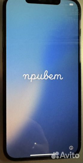 iPhone 12 Pro Max, 256 ГБ