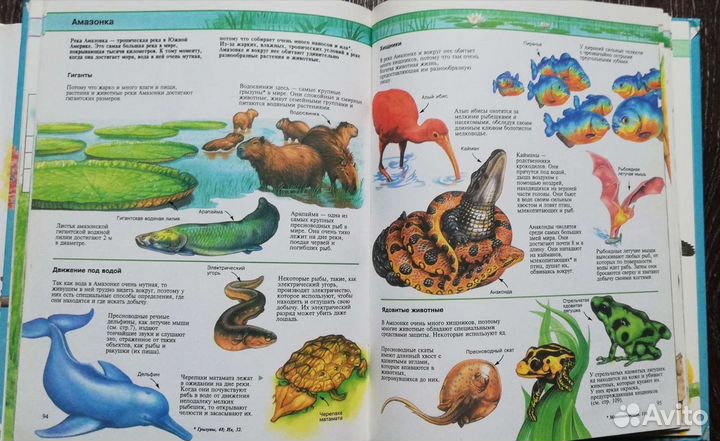 Энциклопедии