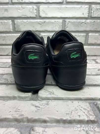 Кроссовки lacoste черные мужские кеды низкие 41-45