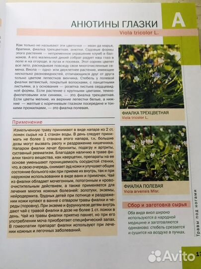 Книга о растениях