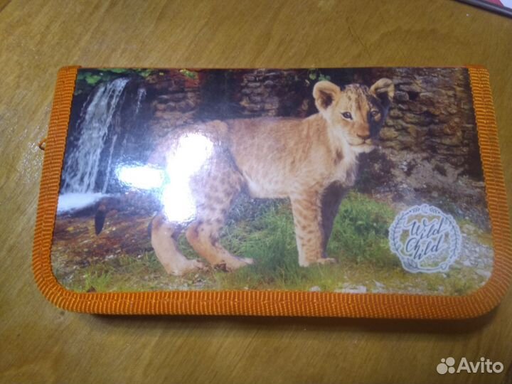 Школьный пенал