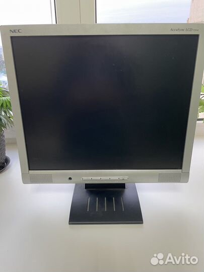 Монитор NEC