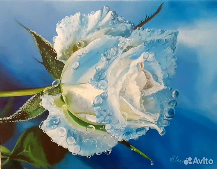 Волшебство розы