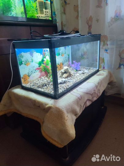 Аквариум комплеке