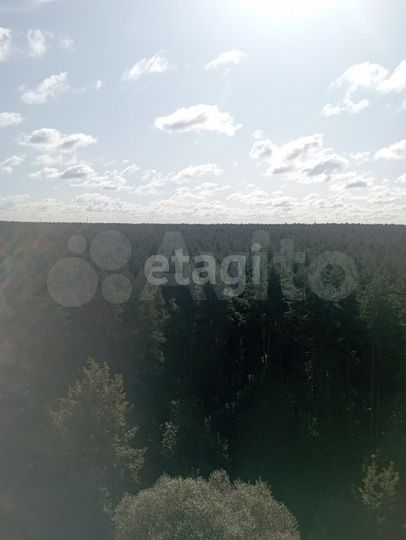 2-к. квартира, 46,3 м², 12/12 эт.