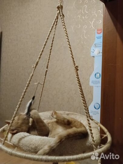 Гамак для кошек