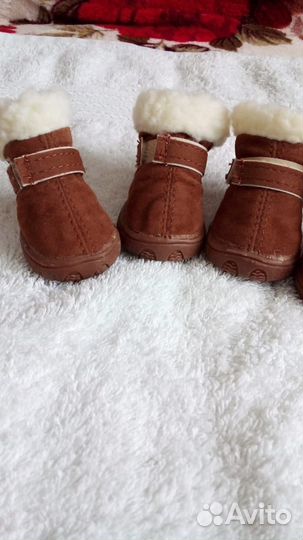 Сапожки и носки для собак (новые)