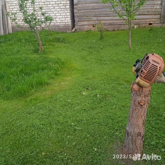 Покос участка