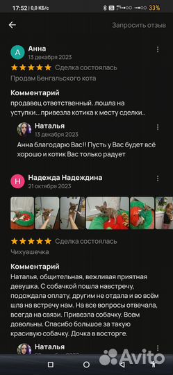 Щенки чихуахуа