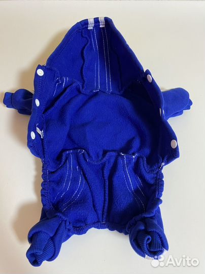 Костюм для собаки