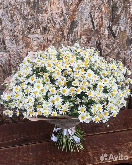 Ромашки букет