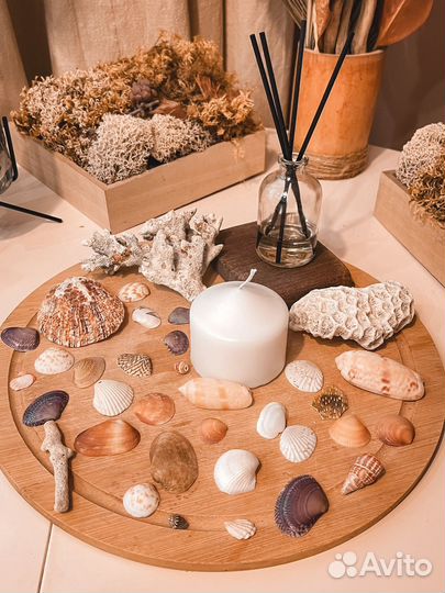 Ракушки и кораллы с Индийского океана