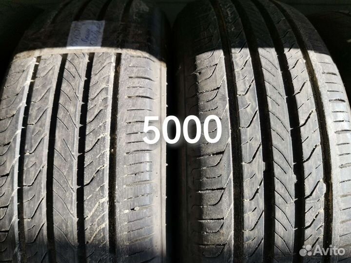 Continental ComfortContact - 5 195/65 R15