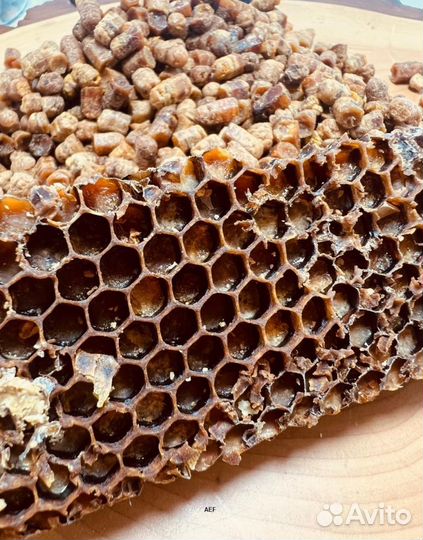 Перга из Алтая