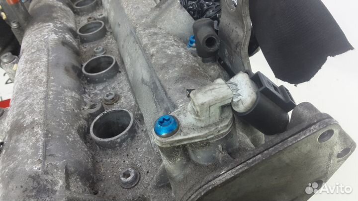 Двигатель Volkswagen Golf Plus BLN