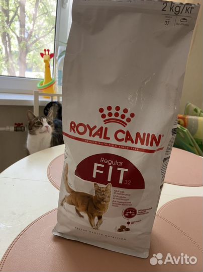 Корм для кошек Royal canin regular fit