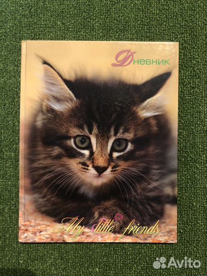 Дневник школьный