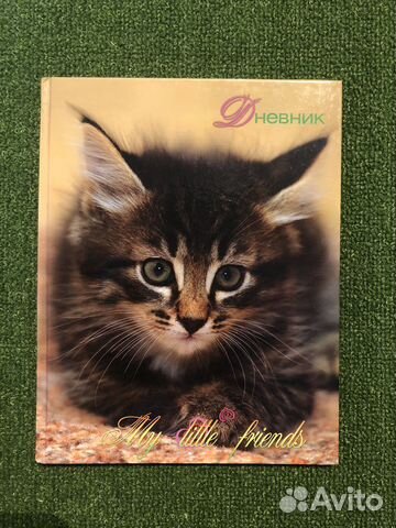 Дневник школьный