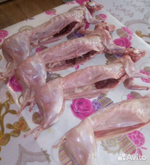 Мясо кролика