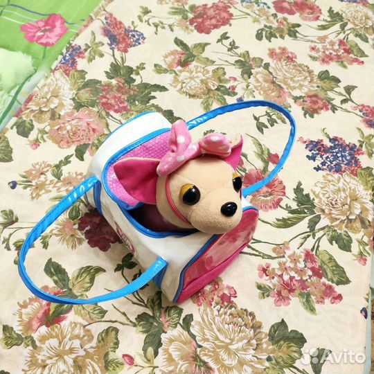 Собачка в сумочке чичилав